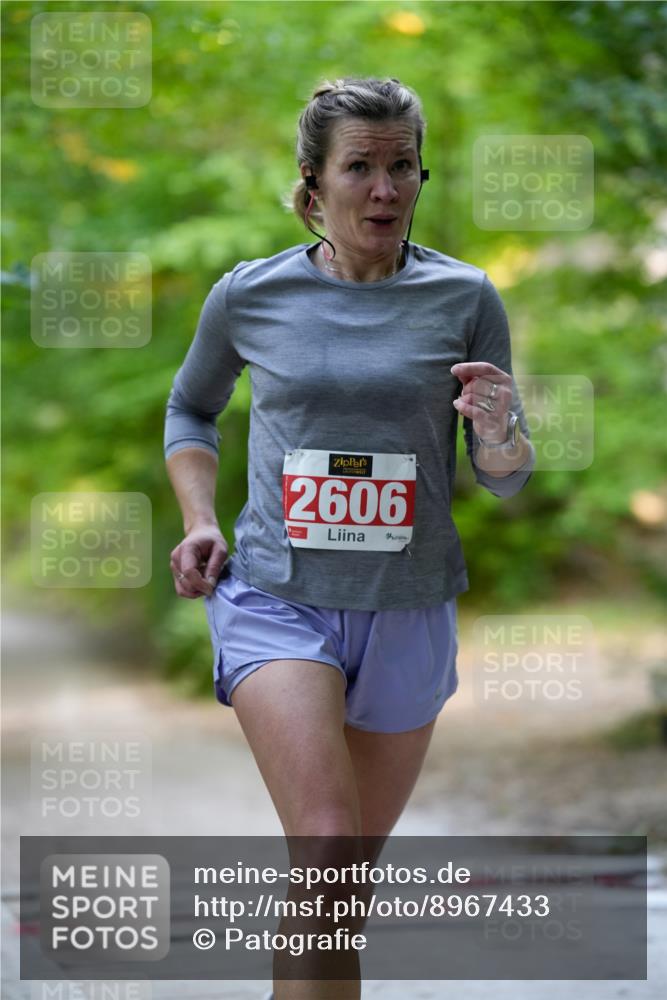 28.09.2025 - 33. Volkslauf durch das schöne Alstertal Patografie http://msf.ph/oto/8967433 28.09.2025 10:41:30 Laufen 2606 meine-sportfotos.de