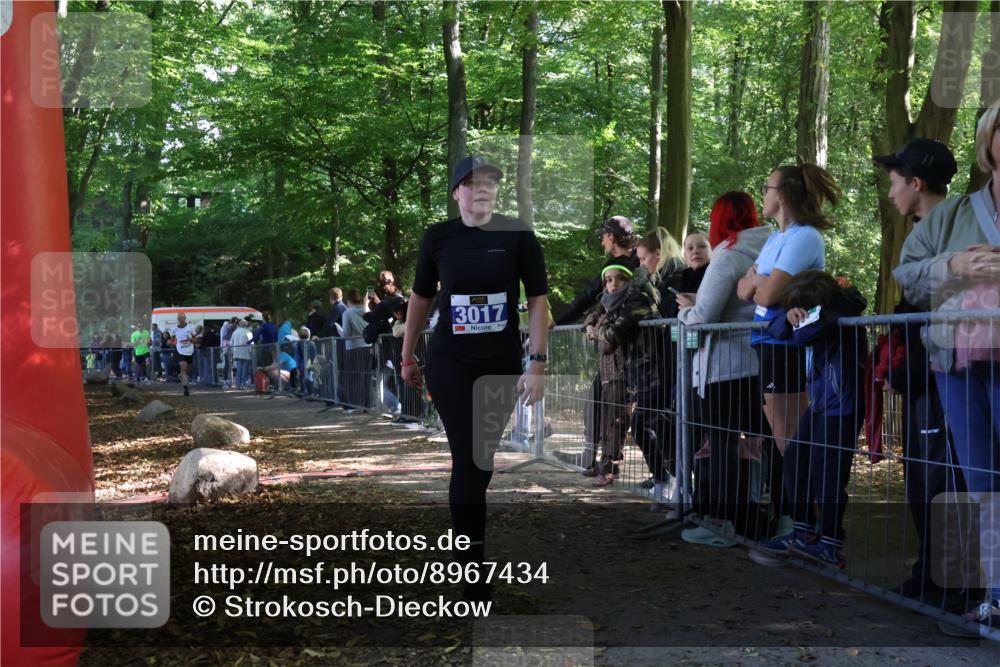 28.09.2025 - 33. Volkslauf durch das schöne Alstertal Strokosch-Dieckow http://msf.ph/oto/8967434 28.09.2025 11:42:14 Ziel 1541, 2506, 3017 meine-sportfotos.de