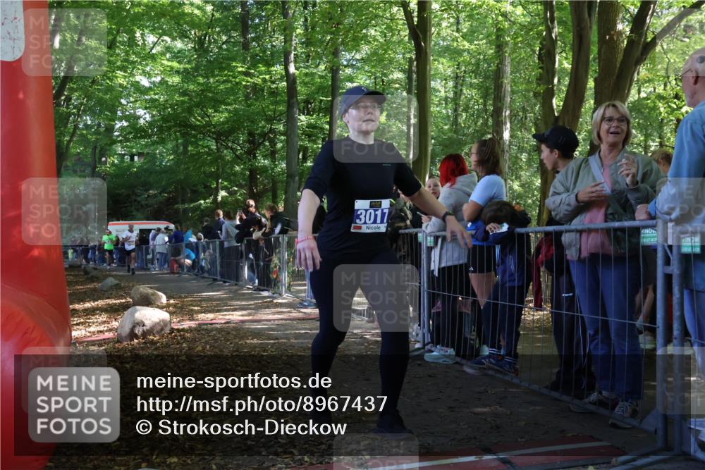 28.09.2025 - 33. Volkslauf durch das schöne Alstertal Strokosch-Dieckow http://msf.ph/oto/8967437 28.09.2025 11:42:14 Ziel 1541, 2506, 3017 meine-sportfotos.de