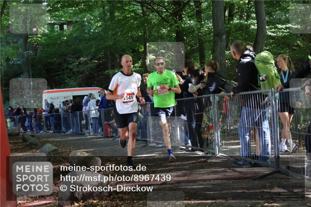 28.09.2025 - 33. Volkslauf durch das schöne Alstertal Strokosch-Dieckow http://msf.ph/oto/8967439 28.09.2025 11:42:18 Ziel 1541, 2506 meine-sportfotos.de
