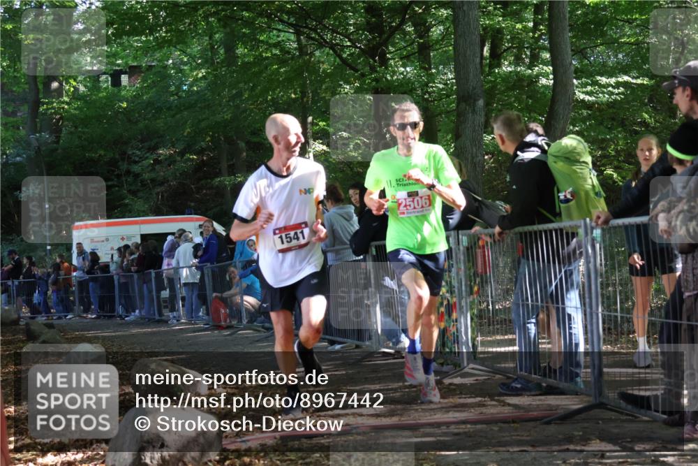 28.09.2025 - 33. Volkslauf durch das schöne Alstertal Strokosch-Dieckow http://msf.ph/oto/8967442 28.09.2025 11:42:18 Ziel 1541, 2506 meine-sportfotos.de