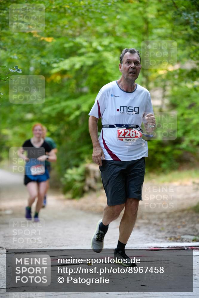 28.09.2025 - 33. Volkslauf durch das schöne Alstertal Patografie http://msf.ph/oto/8967458 28.09.2025 10:42:34 Laufen 2264 meine-sportfotos.de