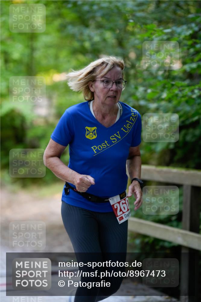 28.09.2025 - 33. Volkslauf durch das schöne Alstertal Patografie http://msf.ph/oto/8967473 28.09.2025 10:43:23 Laufen 260 meine-sportfotos.de