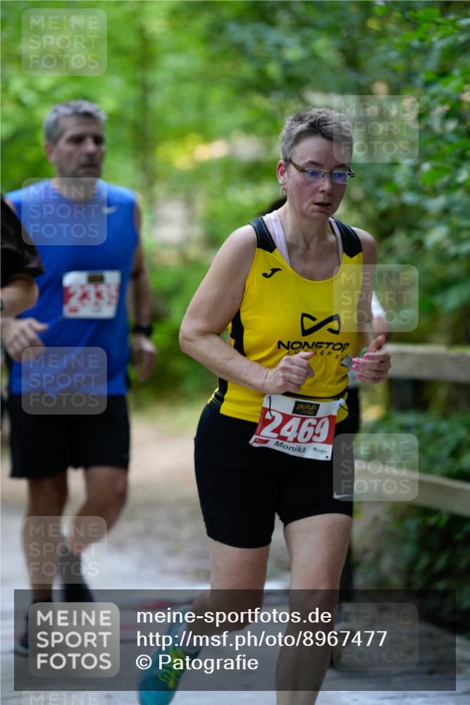 28.09.2025 - 33. Volkslauf durch das schöne Alstertal Patografie http://msf.ph/oto/8967477 28.09.2025 10:43:43 Laufen 2469 meine-sportfotos.de