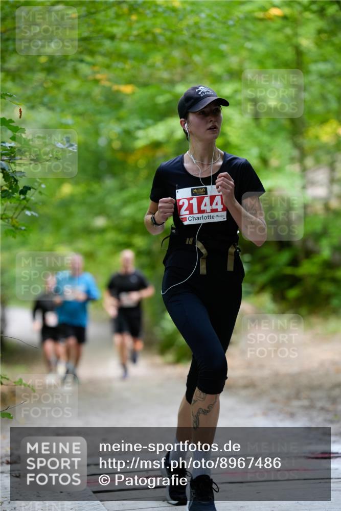 28.09.2025 - 33. Volkslauf durch das schöne Alstertal Patografie http://msf.ph/oto/8967486 28.09.2025 10:44:22 Laufen 2144 meine-sportfotos.de