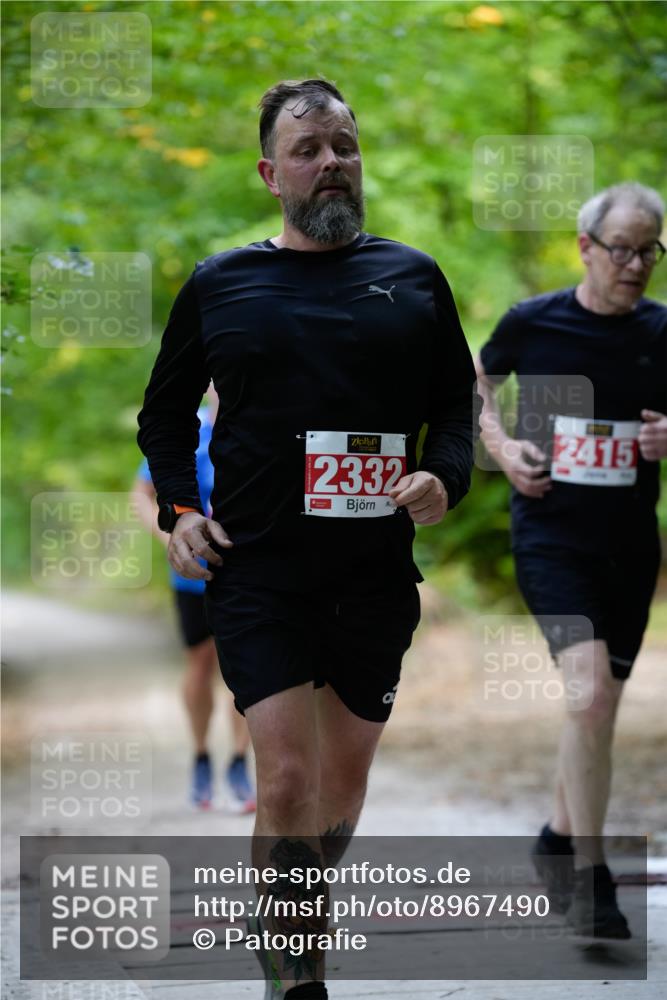 28.09.2025 - 33. Volkslauf durch das schöne Alstertal Patografie http://msf.ph/oto/8967490 28.09.2025 10:44:28 Laufen 2332, 2415 meine-sportfotos.de