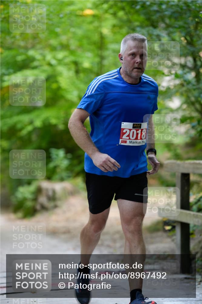 28.09.2025 - 33. Volkslauf durch das schöne Alstertal Patografie http://msf.ph/oto/8967492 28.09.2025 10:44:29 Laufen 2018 meine-sportfotos.de