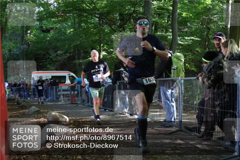 28.09.2025 - 33. Volkslauf durch das schöne Alstertal Strokosch-Dieckow http://msf.ph/oto/8967514 28.09.2025 11:42:53 Ziel 1630, 3343, 3398 meine-sportfotos.de