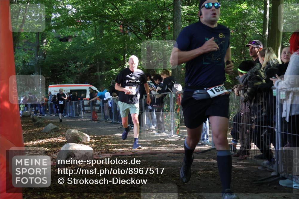 28.09.2025 - 33. Volkslauf durch das schöne Alstertal Strokosch-Dieckow http://msf.ph/oto/8967517 28.09.2025 11:42:53 Ziel 1630, 3343, 3398 meine-sportfotos.de