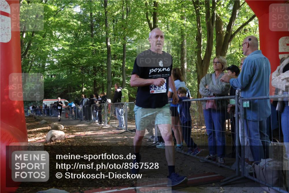 28.09.2025 - 33. Volkslauf durch das schöne Alstertal Strokosch-Dieckow http://msf.ph/oto/8967528 28.09.2025 11:42:55 Ziel 3343, 3398 meine-sportfotos.de