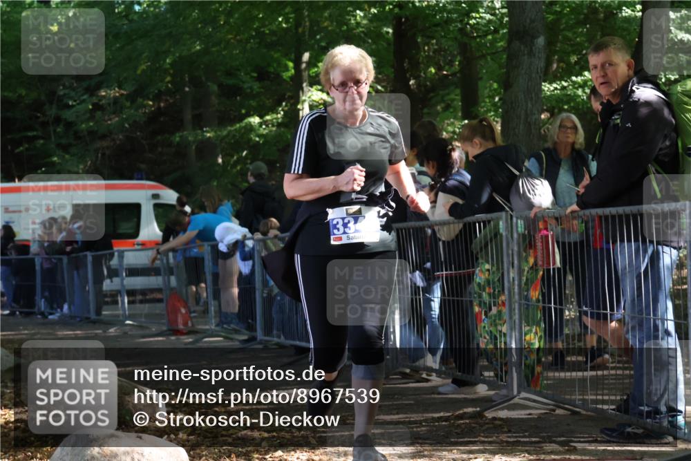 28.09.2025 - 33. Volkslauf durch das schöne Alstertal Strokosch-Dieckow http://msf.ph/oto/8967539 28.09.2025 11:42:59 Ziel 3343 meine-sportfotos.de