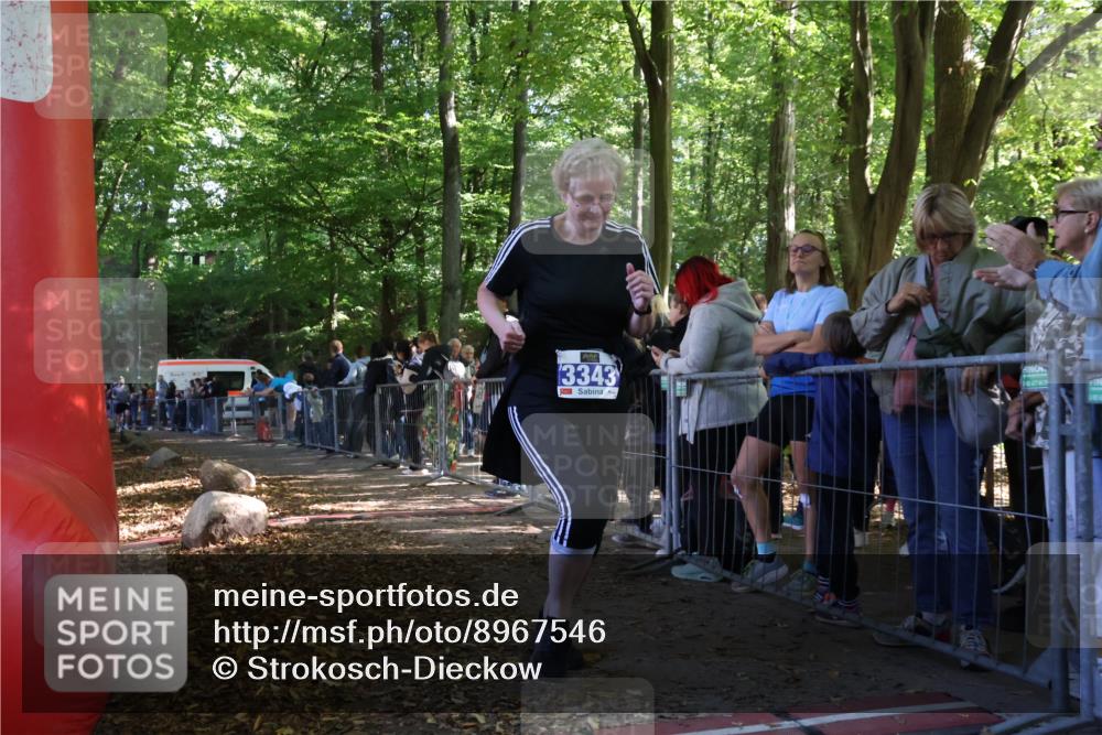 28.09.2025 - 33. Volkslauf durch das schöne Alstertal Strokosch-Dieckow http://msf.ph/oto/8967546 28.09.2025 11:43:01 Ziel 1562, 3343 meine-sportfotos.de