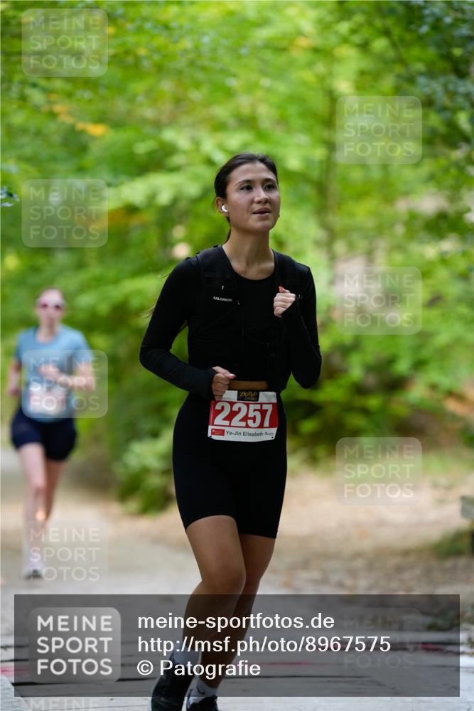 28.09.2025 - 33. Volkslauf durch das schöne Alstertal Patografie http://msf.ph/oto/8967575 28.09.2025 10:53:00 Laufen 2257 meine-sportfotos.de