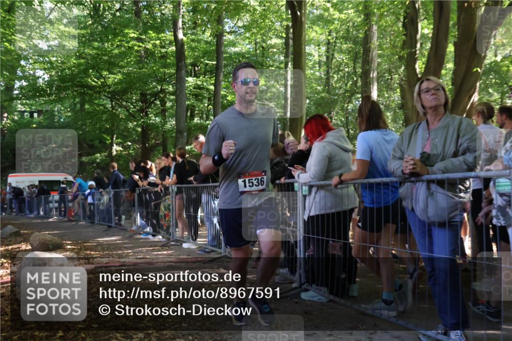 28.09.2025 - 33. Volkslauf durch das schöne Alstertal Strokosch-Dieckow http://msf.ph/oto/8967591 28.09.2025 11:43:40 Ziel 1536, 1859 meine-sportfotos.de