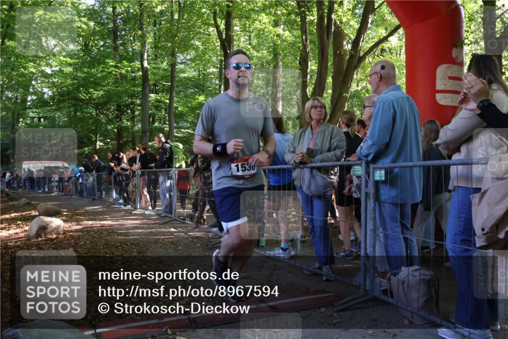 28.09.2025 - 33. Volkslauf durch das schöne Alstertal Strokosch-Dieckow http://msf.ph/oto/8967594 28.09.2025 11:43:40 Ziel 1536, 1859 meine-sportfotos.de