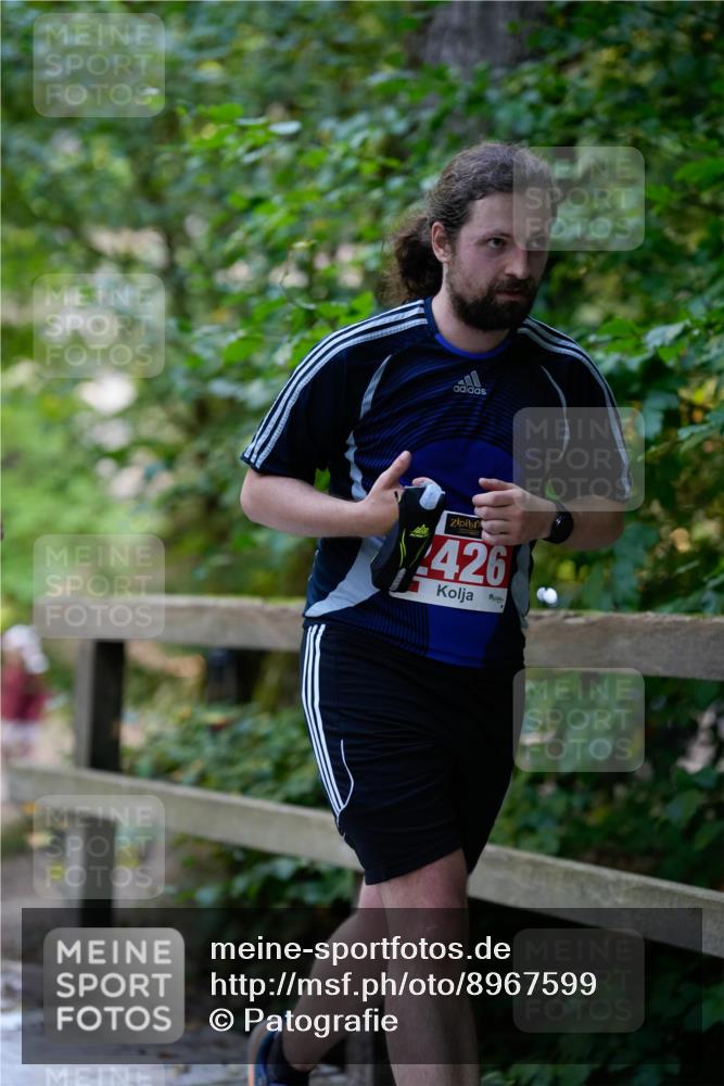 28.09.2025 - 33. Volkslauf durch das schöne Alstertal Patografie http://msf.ph/oto/8967599 28.09.2025 10:57:20 Laufen 426 meine-sportfotos.de
