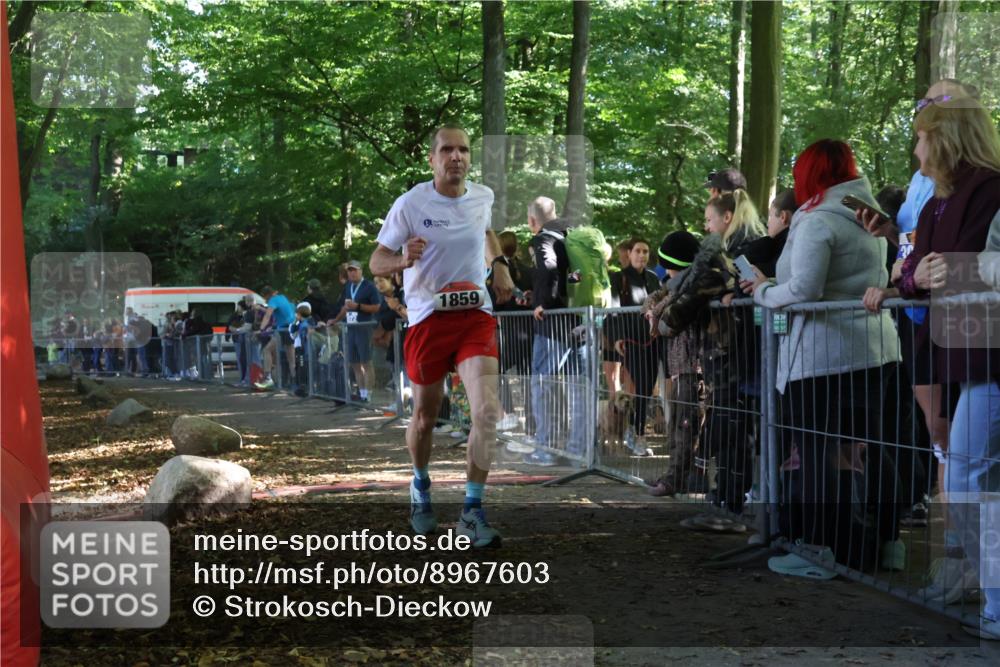 28.09.2025 - 33. Volkslauf durch das schöne Alstertal Strokosch-Dieckow http://msf.ph/oto/8967603 28.09.2025 11:43:49 Ziel 1859 meine-sportfotos.de