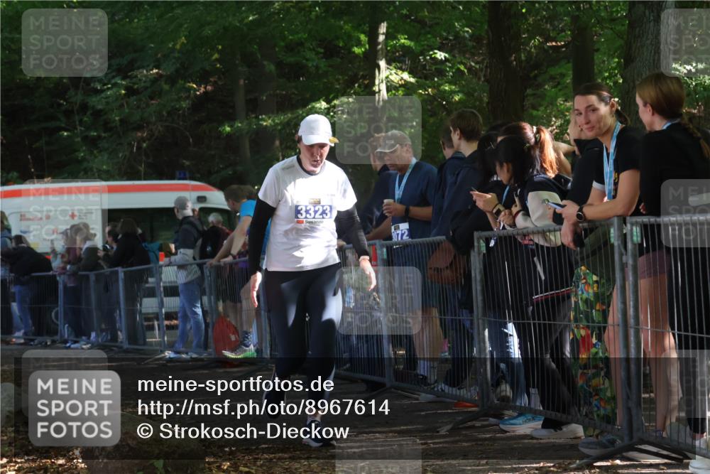 28.09.2025 - 33. Volkslauf durch das schöne Alstertal Strokosch-Dieckow http://msf.ph/oto/8967614 28.09.2025 11:44:07 Ziel 3323 meine-sportfotos.de