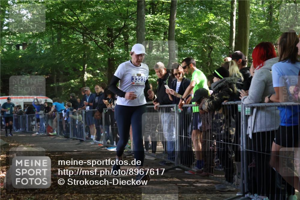 28.09.2025 - 33. Volkslauf durch das schöne Alstertal Strokosch-Dieckow http://msf.ph/oto/8967617 28.09.2025 11:44:10 Ziel 3003, 3323 meine-sportfotos.de