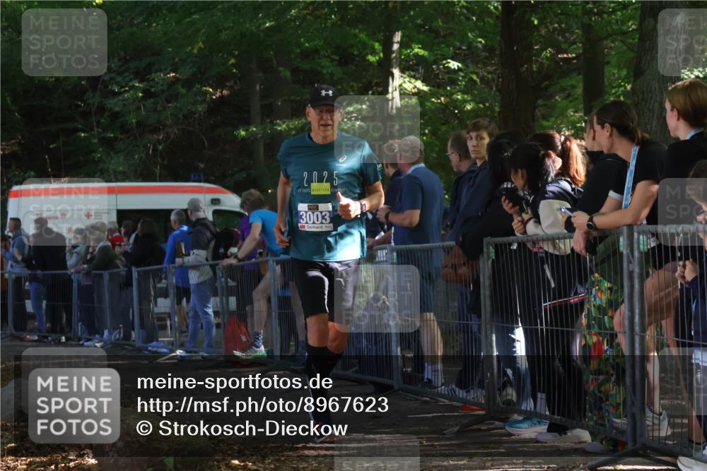 28.09.2025 - 33. Volkslauf durch das schöne Alstertal Strokosch-Dieckow http://msf.ph/oto/8967623 28.09.2025 11:44:15 Ziel 1604, 3003 meine-sportfotos.de