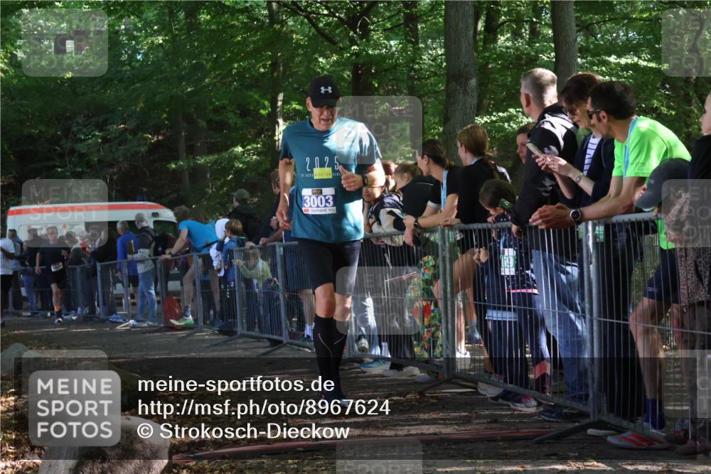 28.09.2025 - 33. Volkslauf durch das schöne Alstertal Strokosch-Dieckow http://msf.ph/oto/8967624 28.09.2025 11:44:17 Ziel 1604, 3003 meine-sportfotos.de