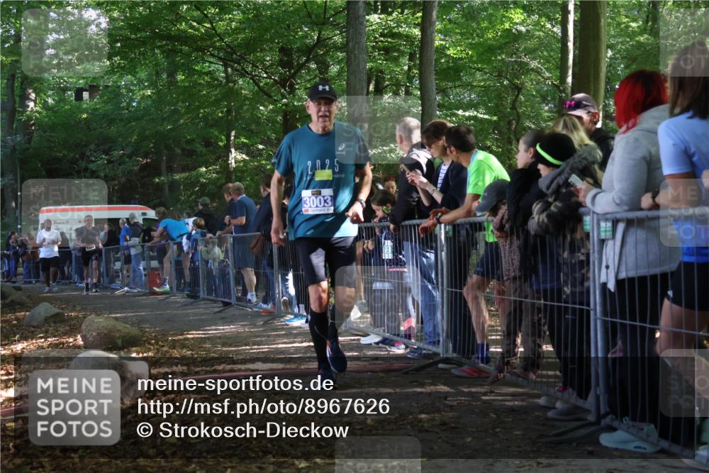 28.09.2025 - 33. Volkslauf durch das schöne Alstertal Strokosch-Dieckow http://msf.ph/oto/8967626 28.09.2025 11:44:18 Ziel 1604, 3003 meine-sportfotos.de