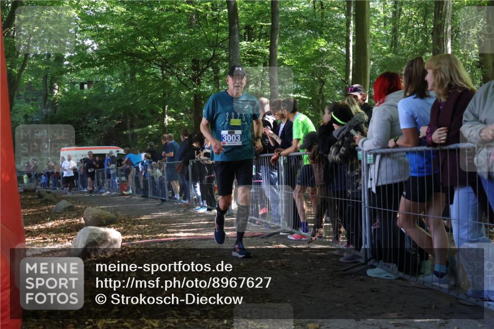 28.09.2025 - 33. Volkslauf durch das schöne Alstertal Strokosch-Dieckow http://msf.ph/oto/8967627 28.09.2025 11:44:18 Ziel 1604, 3003 meine-sportfotos.de