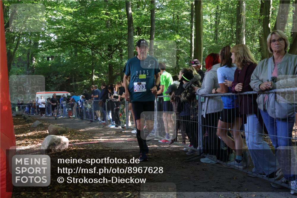 28.09.2025 - 33. Volkslauf durch das schöne Alstertal Strokosch-Dieckow http://msf.ph/oto/8967628 28.09.2025 11:44:18 Ziel 1604, 3003 meine-sportfotos.de