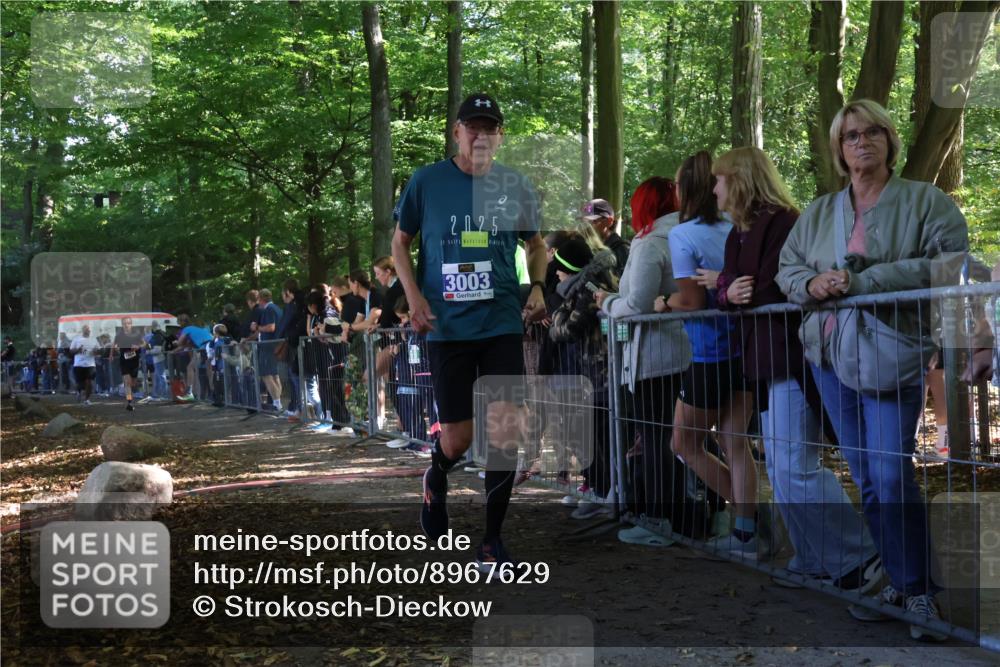 28.09.2025 - 33. Volkslauf durch das schöne Alstertal Strokosch-Dieckow http://msf.ph/oto/8967629 28.09.2025 11:44:19 Ziel 1604, 3003, 3104 meine-sportfotos.de