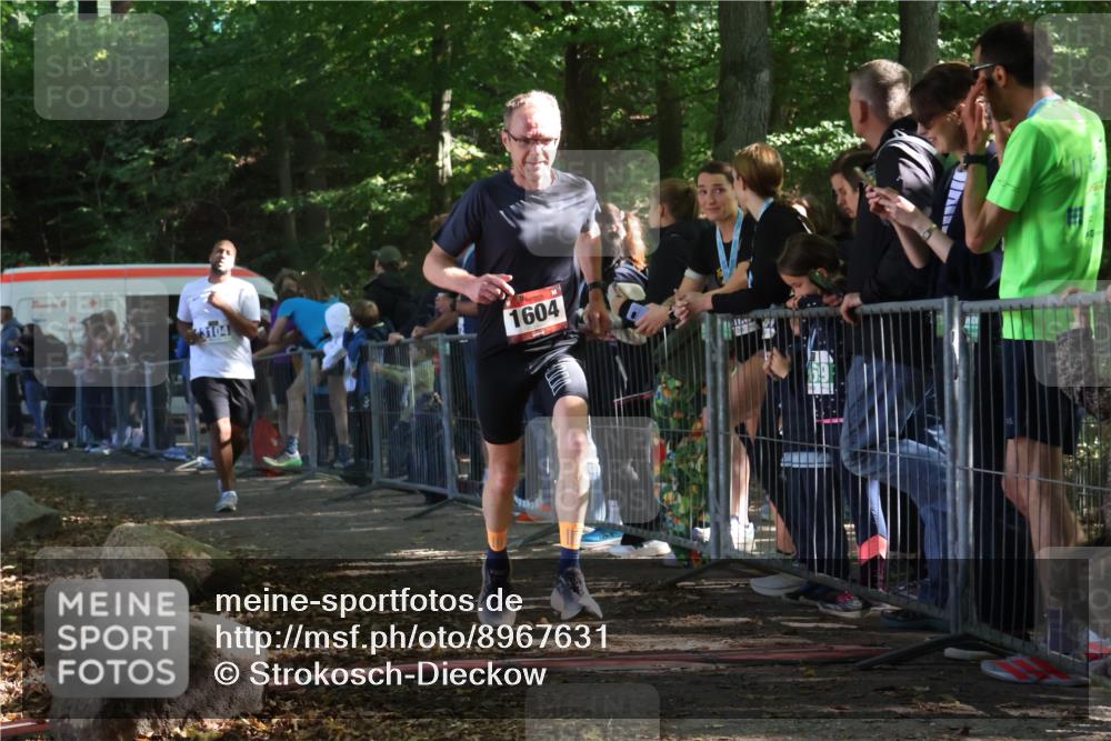 28.09.2025 - 33. Volkslauf durch das schöne Alstertal Strokosch-Dieckow http://msf.ph/oto/8967631 28.09.2025 11:44:22 Ziel 1577, 1604, 3104 meine-sportfotos.de