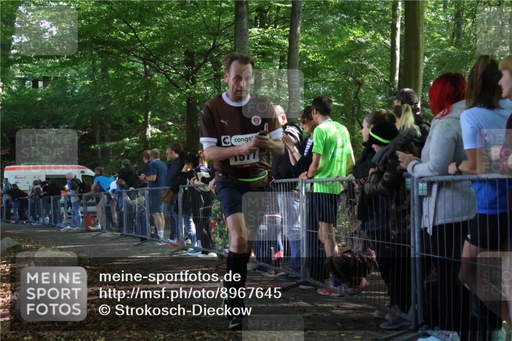 28.09.2025 - 33. Volkslauf durch das schöne Alstertal Strokosch-Dieckow http://msf.ph/oto/8967645 28.09.2025 11:44:31 Ziel 1569, 1577 meine-sportfotos.de
