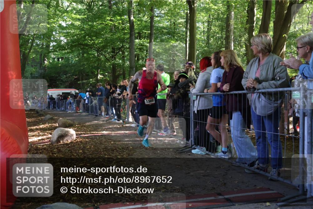 28.09.2025 - 33. Volkslauf durch das schöne Alstertal Strokosch-Dieckow http://msf.ph/oto/8967652 28.09.2025 11:44:40 Ziel 1569, 2408 meine-sportfotos.de