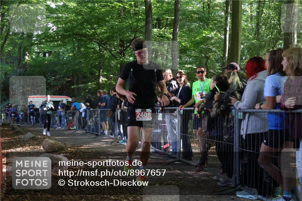 28.09.2025 - 33. Volkslauf durch das schöne Alstertal Strokosch-Dieckow http://msf.ph/oto/8967657 28.09.2025 11:44:47 Ziel 1533, 2408 meine-sportfotos.de