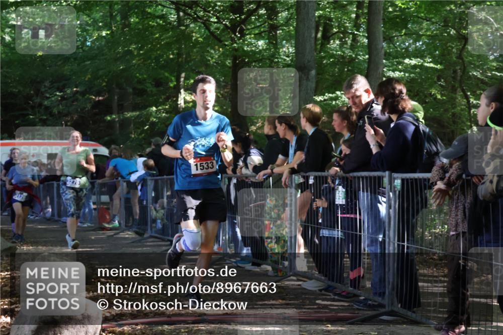28.09.2025 - 33. Volkslauf durch das schöne Alstertal Strokosch-Dieckow http://msf.ph/oto/8967663 28.09.2025 11:44:53 Ziel 1533, 1576, 3126, 3276, 3370 meine-sportfotos.de