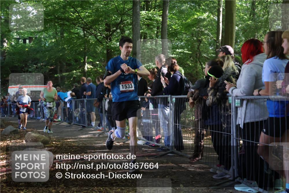 28.09.2025 - 33. Volkslauf durch das schöne Alstertal Strokosch-Dieckow http://msf.ph/oto/8967664 28.09.2025 11:44:54 Ziel 1533, 1576, 3126, 3276, 3370 meine-sportfotos.de