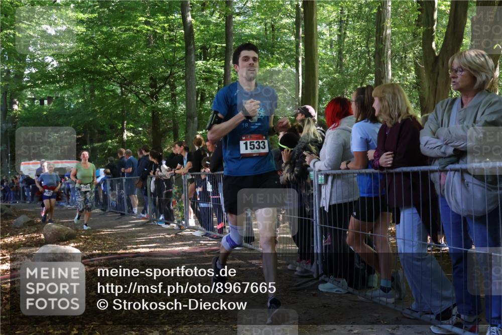 28.09.2025 - 33. Volkslauf durch das schöne Alstertal Strokosch-Dieckow http://msf.ph/oto/8967665 28.09.2025 11:44:54 Ziel 1533, 1576, 3126, 3276, 3370 meine-sportfotos.de