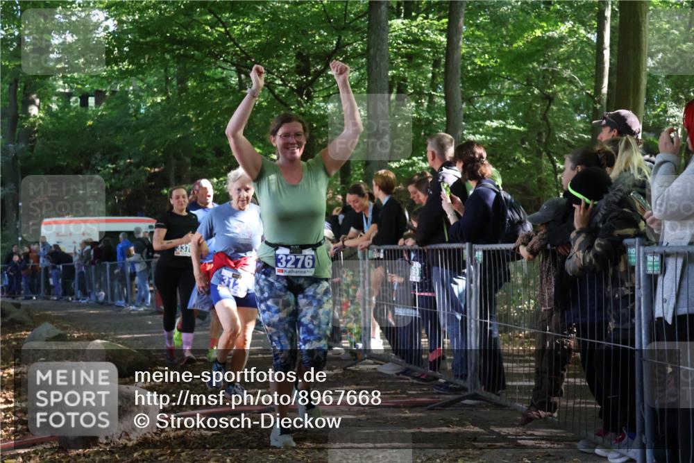 28.09.2025 - 33. Volkslauf durch das schöne Alstertal Strokosch-Dieckow http://msf.ph/oto/8967668 28.09.2025 11:44:57 Ziel 1576, 1586, 3126, 3276, 3370 meine-sportfotos.de