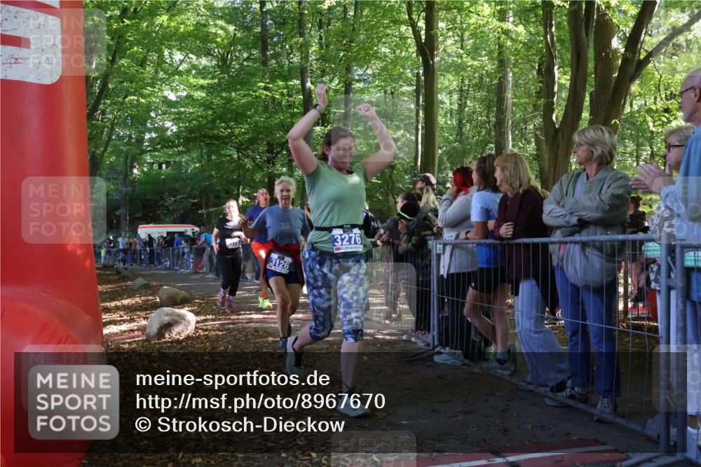 28.09.2025 - 33. Volkslauf durch das schöne Alstertal Strokosch-Dieckow http://msf.ph/oto/8967670 28.09.2025 11:44:58 Ziel 1576, 1586, 3126, 3276, 3370 meine-sportfotos.de