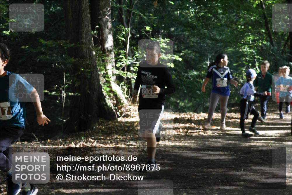 28.09.2025 - 33. Volkslauf durch das schöne Alstertal Strokosch-Dieckow http://msf.ph/oto/8967675 28.09.2025 10:41:25 Laufen 17, 603, 6032 meine-sportfotos.de