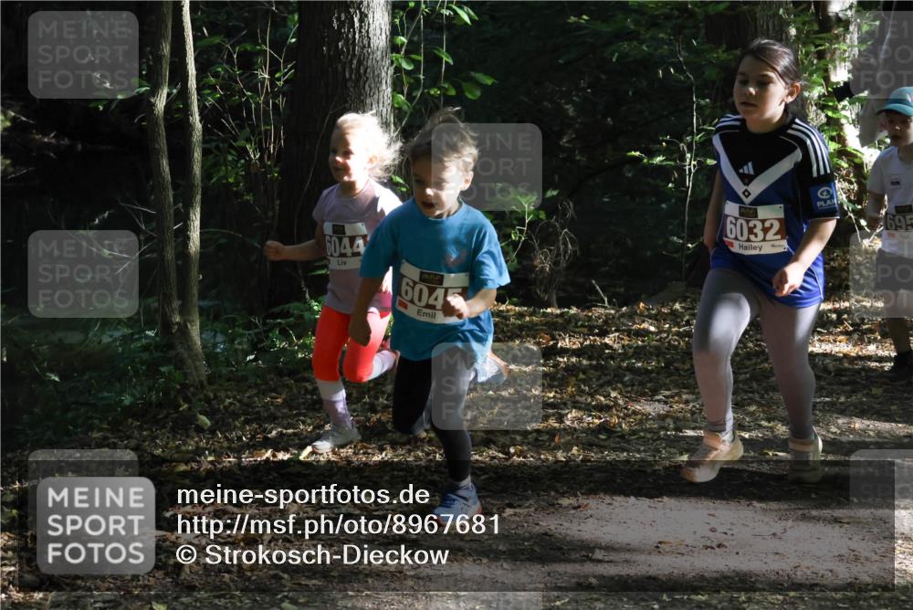28.09.2025 - 33. Volkslauf durch das schöne Alstertal Strokosch-Dieckow http://msf.ph/oto/8967681 28.09.2025 10:41:29 Laufen 6044, 604, 6032, 695 meine-sportfotos.de
