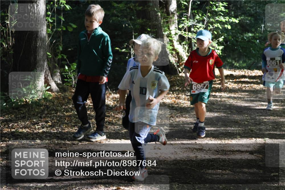 28.09.2025 - 33. Volkslauf durch das schöne Alstertal Strokosch-Dieckow http://msf.ph/oto/8967684 28.09.2025 10:41:32 Laufen 10, 6957, 6061 meine-sportfotos.de