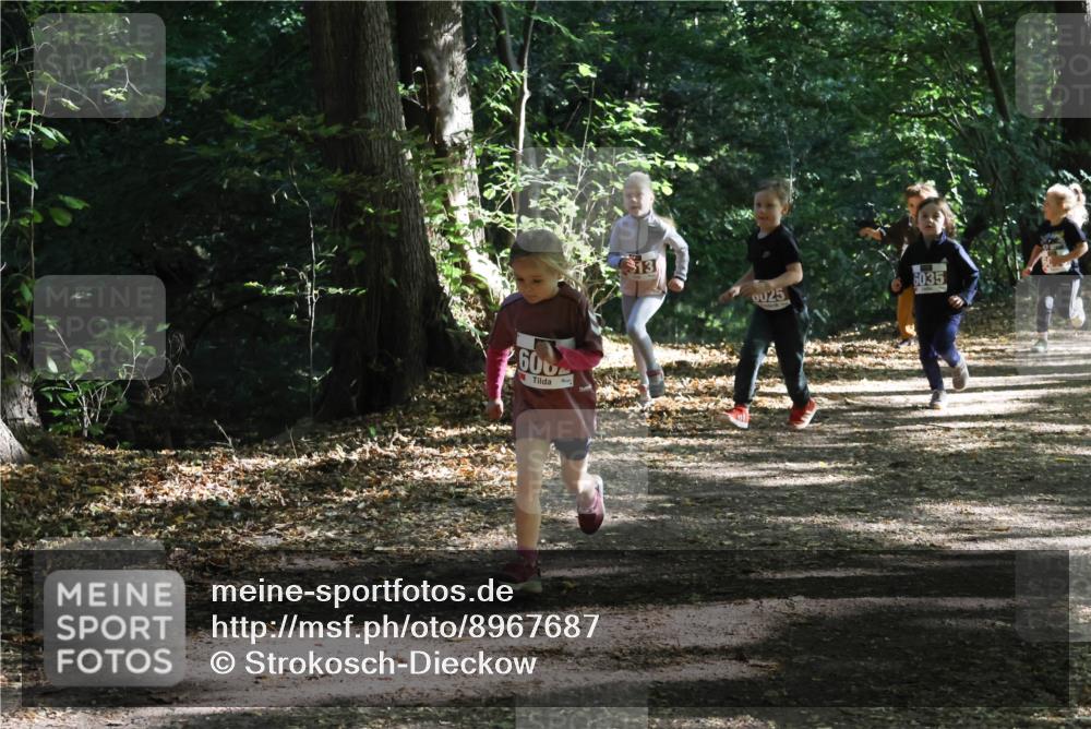 28.09.2025 - 33. Volkslauf durch das schöne Alstertal Strokosch-Dieckow http://msf.ph/oto/8967687 28.09.2025 10:41:38 Laufen 600, 0025, 6035 meine-sportfotos.de