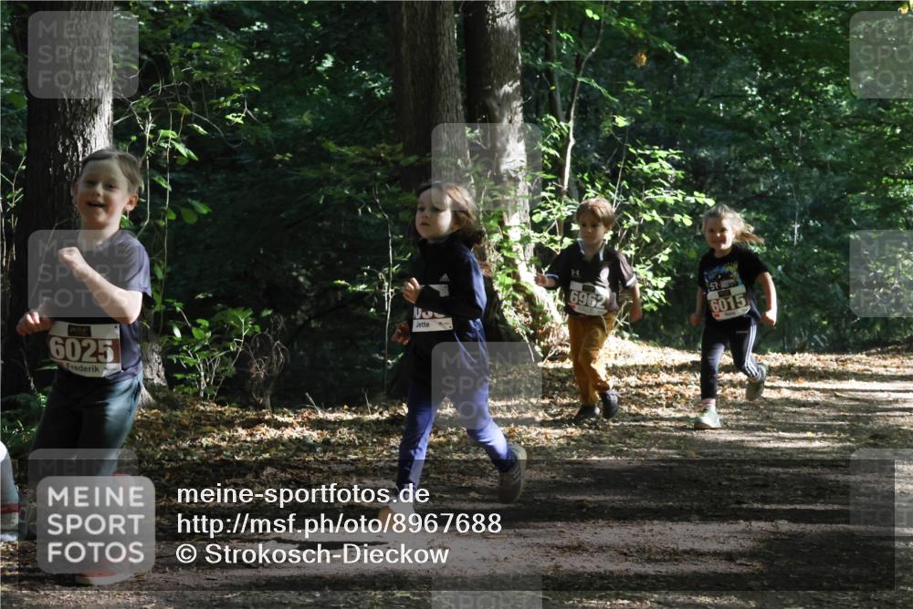 28.09.2025 - 33. Volkslauf durch das schöne Alstertal Strokosch-Dieckow http://msf.ph/oto/8967688 28.09.2025 10:41:40 Laufen 6025, 6962, 6015 meine-sportfotos.de