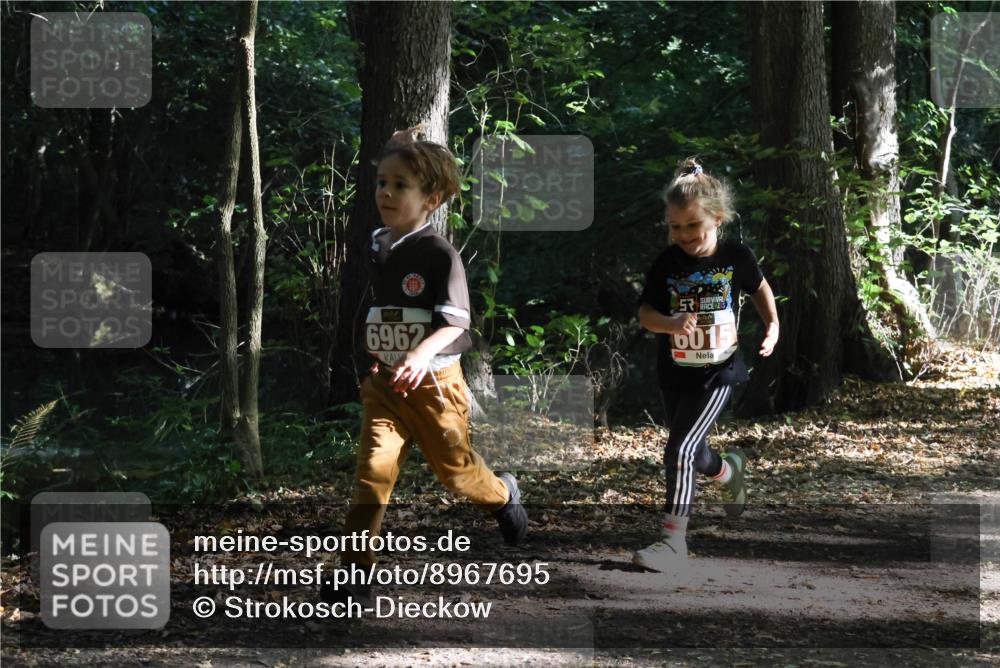28.09.2025 - 33. Volkslauf durch das schöne Alstertal Strokosch-Dieckow http://msf.ph/oto/8967695 28.09.2025 10:41:41 Laufen 6962, 6015 meine-sportfotos.de