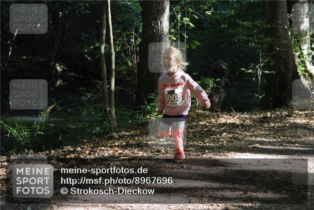 28.09.2025 - 33. Volkslauf durch das schöne Alstertal Strokosch-Dieckow http://msf.ph/oto/8967696 28.09.2025 10:41:44 Laufen 6008 meine-sportfotos.de
