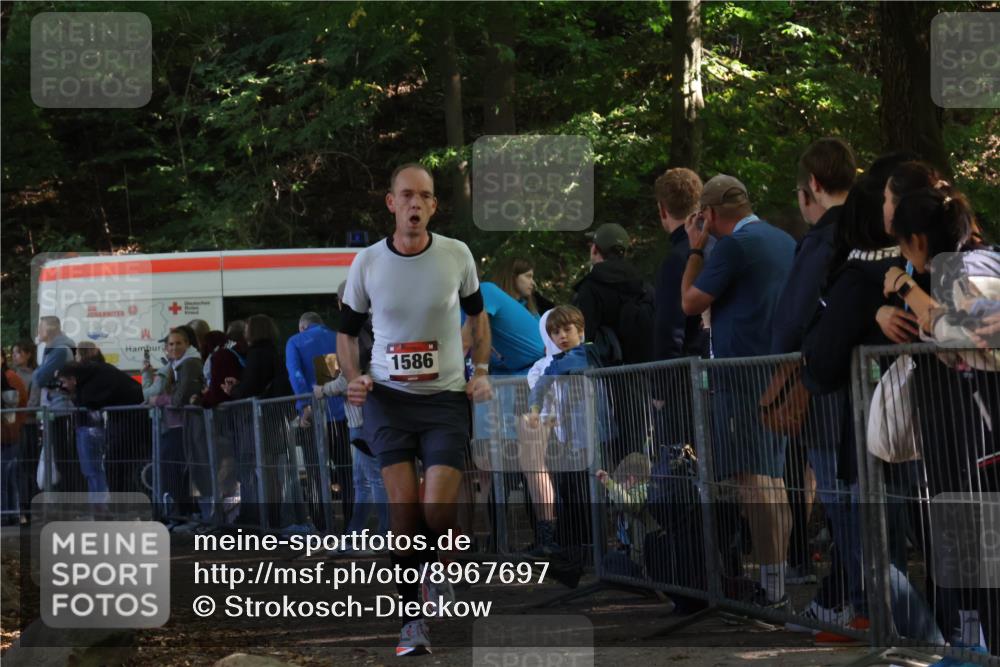 28.09.2025 - 33. Volkslauf durch das schöne Alstertal Strokosch-Dieckow http://msf.ph/oto/8967697 28.09.2025 11:45:03 Ziel 1586 meine-sportfotos.de