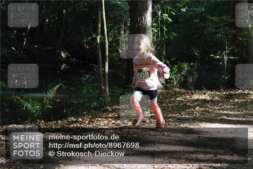 28.09.2025 - 33. Volkslauf durch das schöne Alstertal Strokosch-Dieckow http://msf.ph/oto/8967698 28.09.2025 10:41:44 Laufen 6008 meine-sportfotos.de