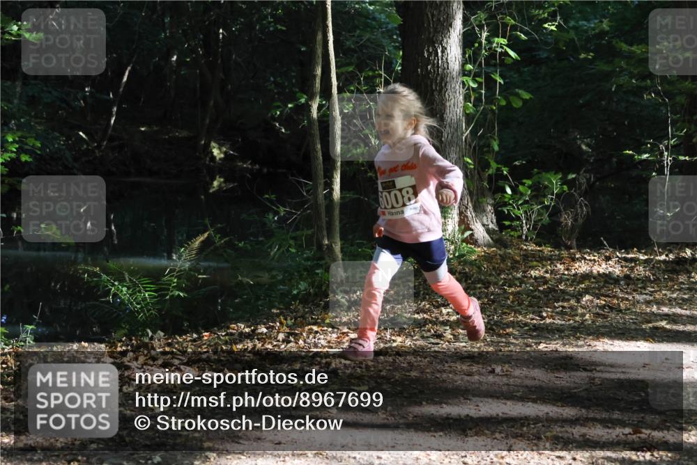 28.09.2025 - 33. Volkslauf durch das schöne Alstertal Strokosch-Dieckow http://msf.ph/oto/8967699 28.09.2025 10:41:44 Laufen 6008 meine-sportfotos.de