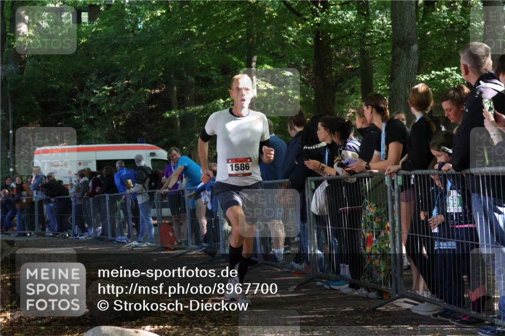 28.09.2025 - 33. Volkslauf durch das schöne Alstertal Strokosch-Dieckow http://msf.ph/oto/8967700 28.09.2025 11:45:04 Ziel 1586 meine-sportfotos.de