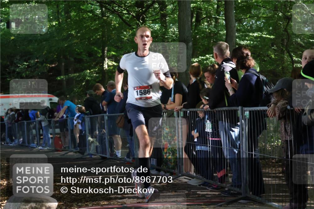28.09.2025 - 33. Volkslauf durch das schöne Alstertal Strokosch-Dieckow http://msf.ph/oto/8967703 28.09.2025 11:45:05 Ziel 1586 meine-sportfotos.de